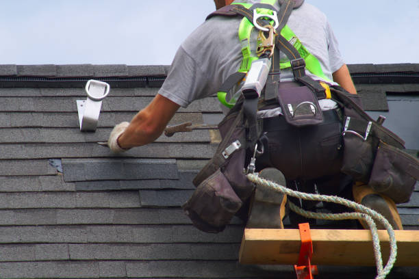 Best Metal Roofing Installation  in Curtice, OH
